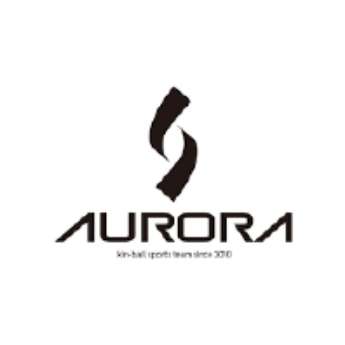 Immagine per il produttore AURORA K.I.N.